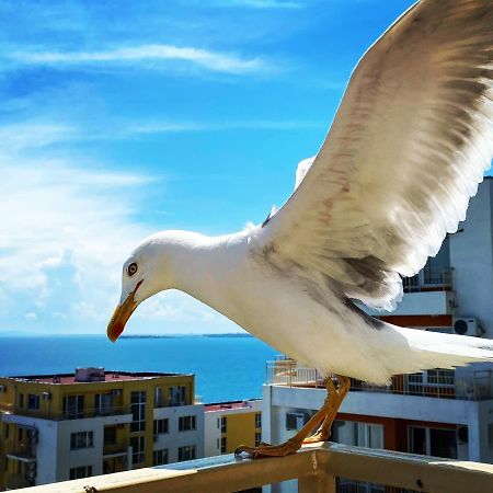 סבטי ולאס Sea View Panoramic Apartments, Fort Noks Crown Club מראה חיצוני תמונה
