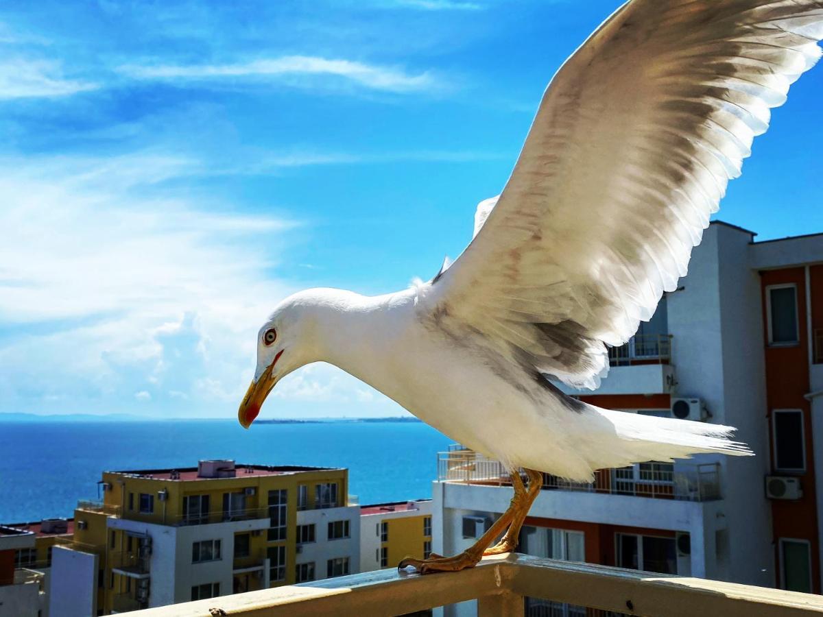 סבטי ולאס Sea View Panoramic Apartments, Fort Noks Crown Club מראה חיצוני תמונה